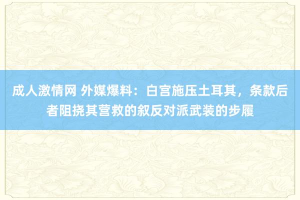 成人激情网 外媒爆料：白宫施压土耳其，条款后者阻挠其营救的叙反对派武装的步履