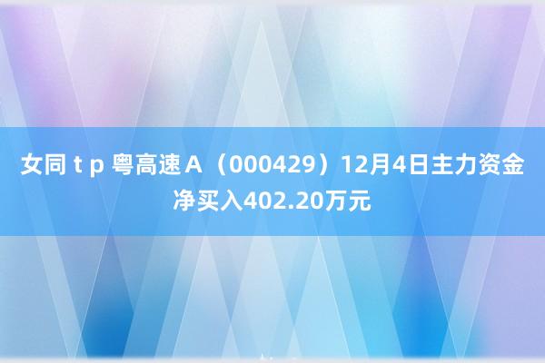 女同 t p 粤高速Ａ（000429）12月4日主力资金净买入402.20万元