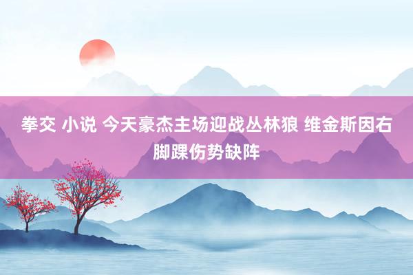 拳交 小说 今天豪杰主场迎战丛林狼 维金斯因右脚踝伤势缺阵