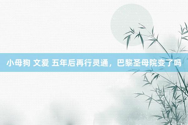 小母狗 文爱 五年后再行灵通，巴黎圣母院变了吗