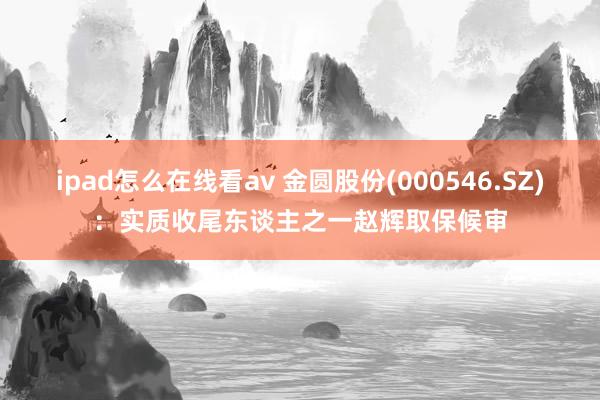 ipad怎么在线看av 金圆股份(000546.SZ)：实质收尾东谈主之一赵辉取保候审