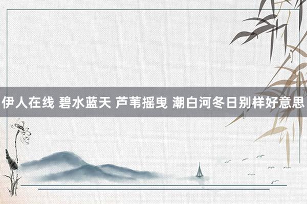 伊人在线 碧水蓝天 芦苇摇曳 潮白河冬日别样好意思
