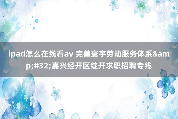 ipad怎么在线看av 完善寰宇劳动服务体系&#32;嘉兴经开区绽开求职招聘专线