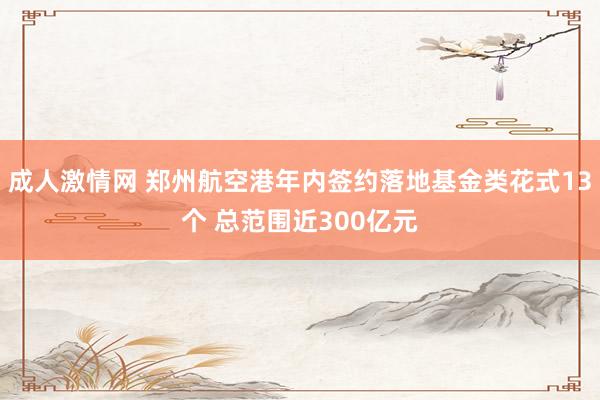 成人激情网 郑州航空港年内签约落地基金类花式13个 总范围近300亿元