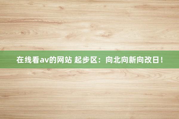 在线看av的网站 起步区：向北向新向改日！