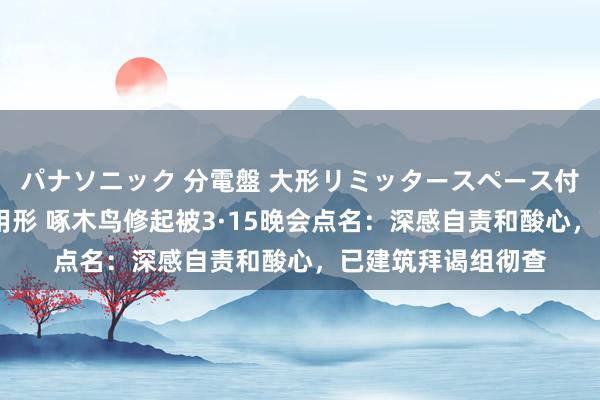 パナソニック 分電盤 大形リミッタースペース付 露出・半埋込両用形 啄木鸟修起被3·15晚会点名:深感自责和酸心,已建筑拜谒组彻查