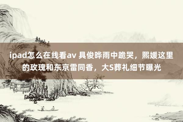 ipad怎么在线看av 具俊晔雨中跪哭，熙媛这里的玫瑰和东京雷同香，大S葬礼细节曝光