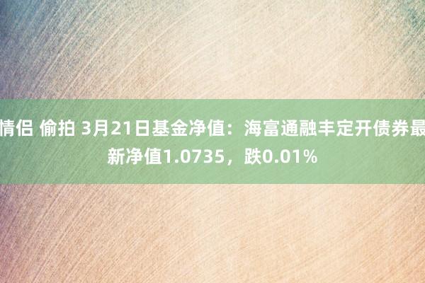 情侣 偷拍 3月21日基金净值：海富通融丰定开债券最新净值1.0735，跌0.01%