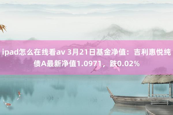 ipad怎么在线看av 3月21日基金净值：吉利惠悦纯债A最新净值1.0971，跌0.02%
