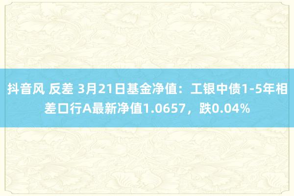 抖音风 反差 3月21日基金净值：工银中债1-5年相差口行A最新净值1.0657，跌0.04%