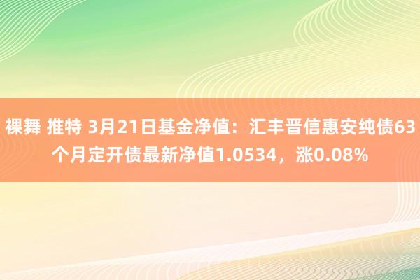 裸舞 推特 3月21日基金净值：汇丰晋信惠安纯债63个月定开债最新净值1.0534，涨0.08%