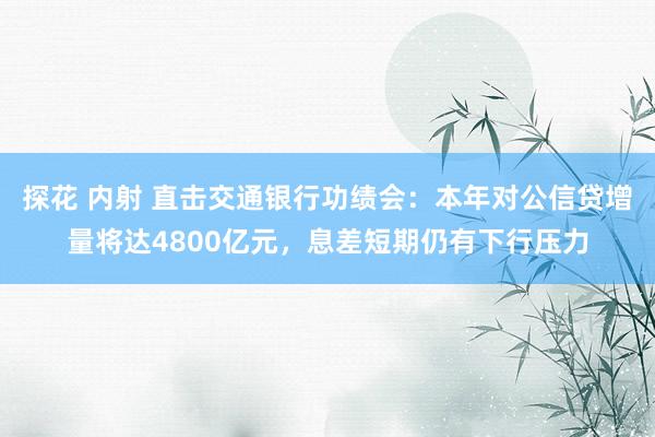 探花 内射 直击交通银行功绩会：本年对公信贷增量将达4800亿元，息差短期仍有下行压力