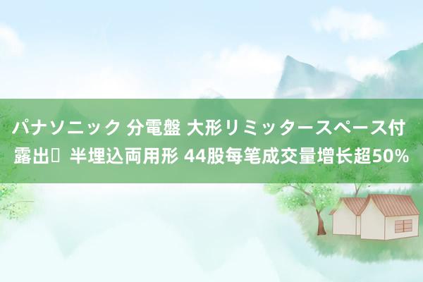 パナソニック 分電盤 大形リミッタースペース付 露出・半埋込両用形 44股每笔成交量增长超50%
