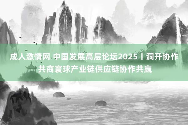 成人激情网 中国发展高层论坛2025丨洞开协作 共商寰球产业链供应链协作共赢