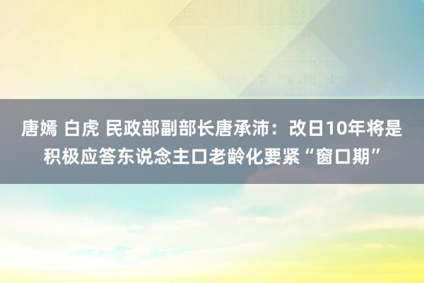 唐嫣 白虎 民政部副部长唐承沛：改日10年将是积极应答东说念主口老龄化要紧“窗口期”