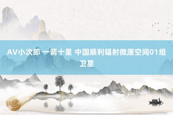 AV小次郎 一箭十星 中国顺利辐射微厘空间01组卫星