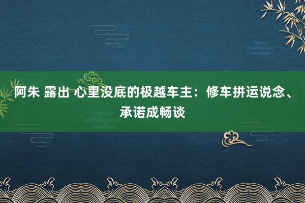 阿朱 露出 心里没底的极越车主：修车拼运说念、承诺成畅谈