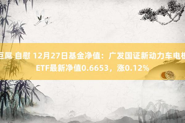 巨屌 自慰 12月27日基金净值：广发国证新动力车电板ETF最新净值0.6653，涨0.12%