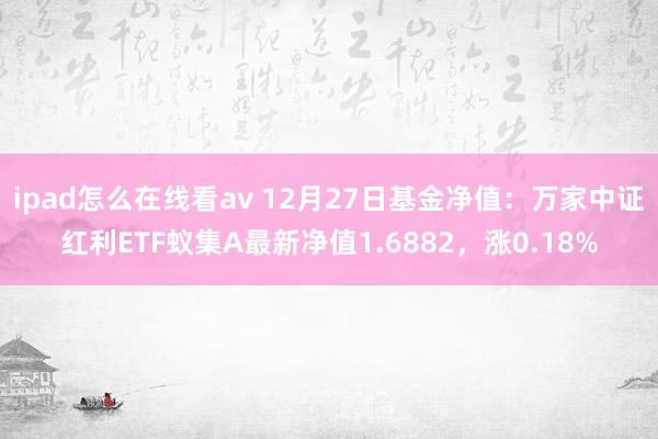 ipad怎么在线看av 12月27日基金净值：万家中证红利ETF蚁集A最新净值1.6882，涨0.18%