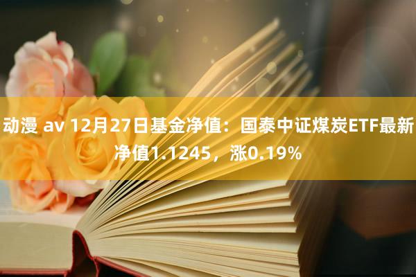 动漫 av 12月27日基金净值：国泰中证煤炭ETF最新净值1.1245，涨0.19%