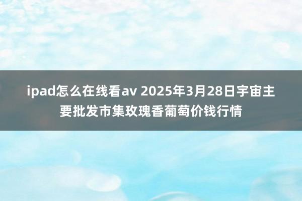 ipad怎么在线看av 2025年3月28日宇宙主要批发市集玫瑰香葡萄价钱行情