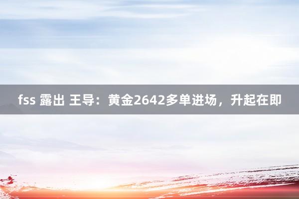 fss 露出 王导：黄金2642多单进场，升起在即