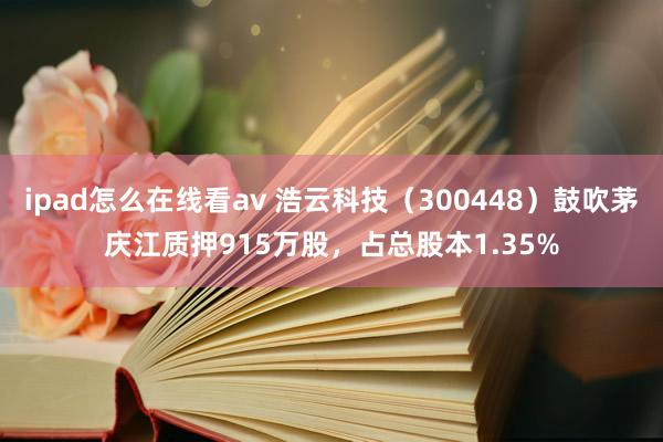 ipad怎么在线看av 浩云科技（300448）鼓吹茅庆江质押915万股，占总股本1.35%
