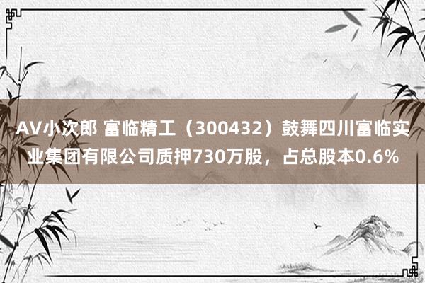 AV小次郎 富临精工（300432）鼓舞四川富临实业集团有限公司质押730万股，占总股本0.6%
