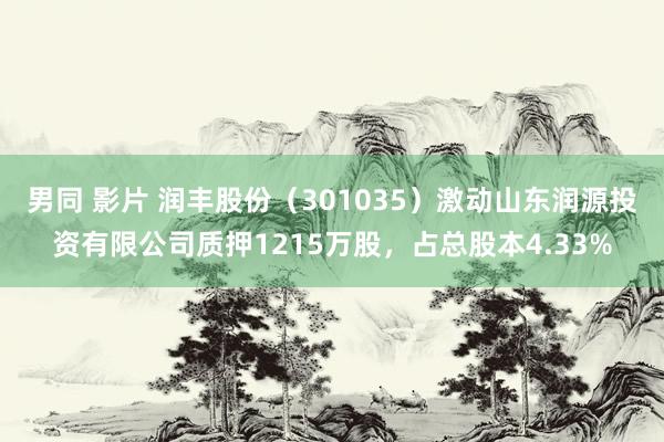 男同 影片 润丰股份（301035）激动山东润源投资有限公司质押1215万股，占总股本4.33%