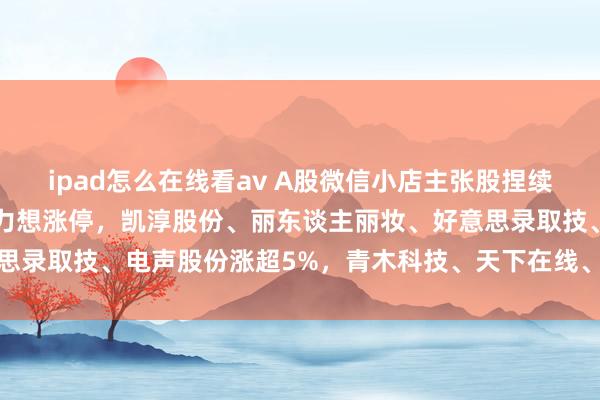 ipad怎么在线看av A股微信小店主张股捏续强势，来伊份4连板，歌力想涨停，凯淳股份、丽东谈主丽妆、好意思录取技、电声股份涨超5%，青木科技、天下在线、拉芳家化等跟涨