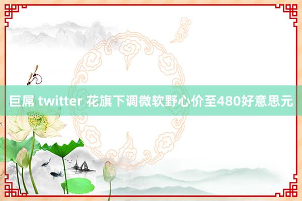 巨屌 twitter 花旗下调微软野心价至480好意思元