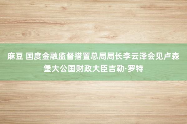 麻豆 国度金融监督措置总局局长李云泽会见卢森堡大公国财政大臣吉勒·罗特