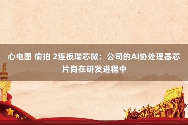 心电图 偷拍 2连板瑞芯微：公司的AI协处理器芯片尚在研发进程中
