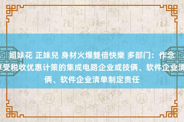 姐妹花 正妹兒 身材火爆雙倍快樂 多部门：作念好2025年享受税收优惠计策的集成电路企业或技俩、软件企业清单制定责任