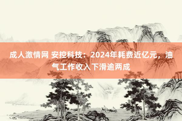 成人激情网 安控科技：2024年耗费近亿元，油气工作收入下滑逾两成