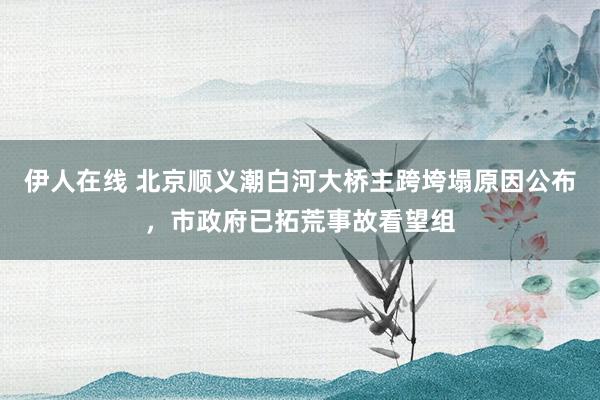伊人在线 北京顺义潮白河大桥主跨垮塌原因公布，市政府已拓荒事故看望组