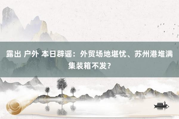 露出 户外 本日辟谣：外贸场地堪忧、苏州港堆满集装箱不发？