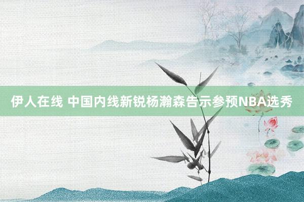 伊人在线 中国内线新锐杨瀚森告示参预NBA选秀